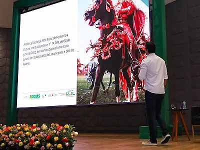 Economia criativa ganha espaço com formação para setor cultural em Goiás