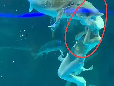 Peixe morde a cabeça de artista vestida de sereia em aquário (vídeo)