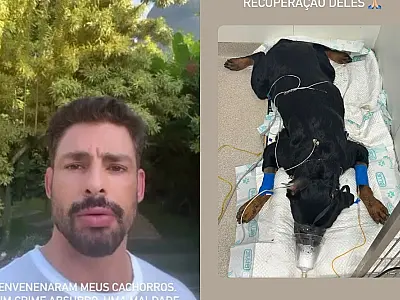 Cauã Reymond denuncia morte por envenenamento de cães em sua casa