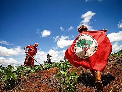 É falso que Governo Lula defende bloqueio do X para esconder 'incêndios do MST'
