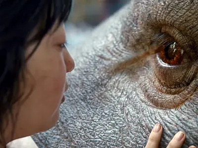 OKJA o simples tornando-se incrível