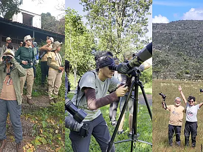 Festival recebe inscrições até 30 de maio para curtas sobre aves e conservação