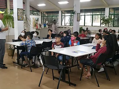 ​Oficina gratuita ensina regras e história do xadrez neste final de semana