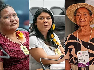 Comitê de Cultura alavanca a cultura indígena com assessoria à editais