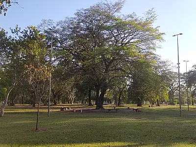 Com 350 barracas, Bosque da Paz será maior feira cultural de MS