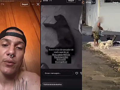 Tatuador põe cadela para matar gatos de rua, humilha idosa e ameaça protetora (vídeos)