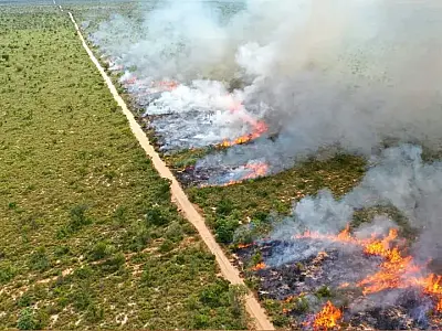 Desinformação sobre confisco de terras distorce política ambiental e inflama eleitorado em MS