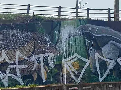 INCAB-IPÊ repudia ataque ao mural de Fernando Berg na Capital de MS