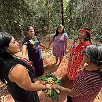 'Kaguateka' estreia em aldeia urbana de Campo Grande