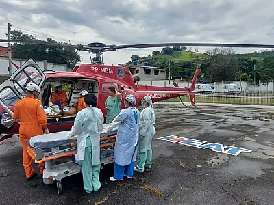 Escritora perde um dos braços e orelha ao ser atacada por três pitbulls