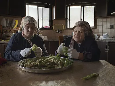 Mostra Ecofalante exibe filmes afirmativos de 39 países