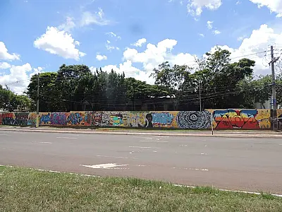 Projeto seleciona 6 grafiteiros para colorir ONG de Campo Grande